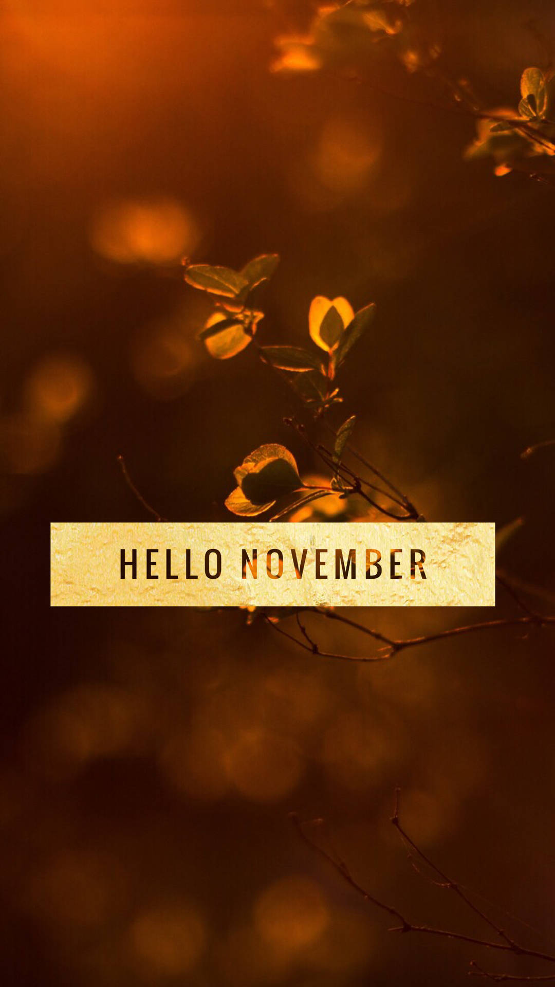 Starting The Holiday Season With Newest November iPhone Wallpaper