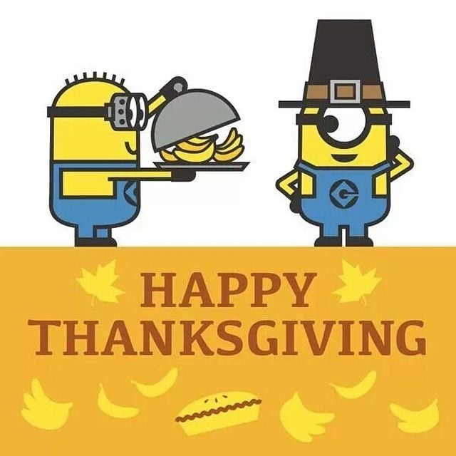 Thanksgiving Minions Pictures Photos and Images for