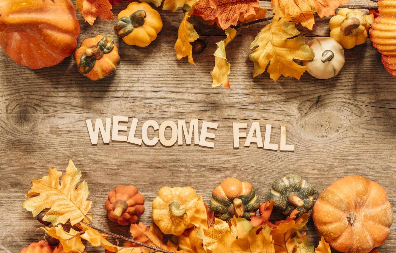 Fall Halloween Wallpaper