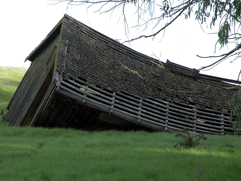 Chicken Coop