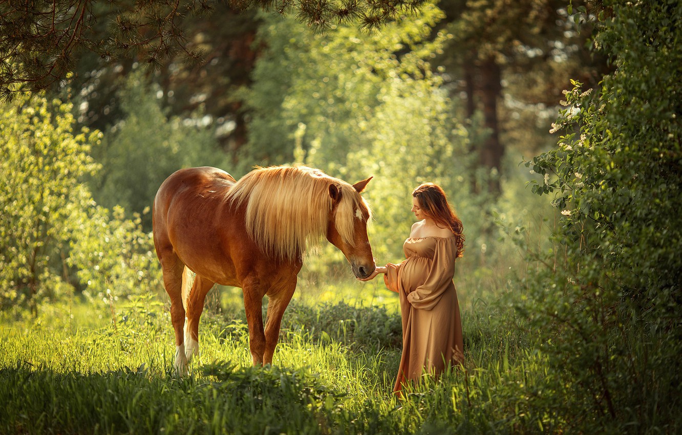 Wallpaper Forest Summer Light Mood Horse Woman Belly