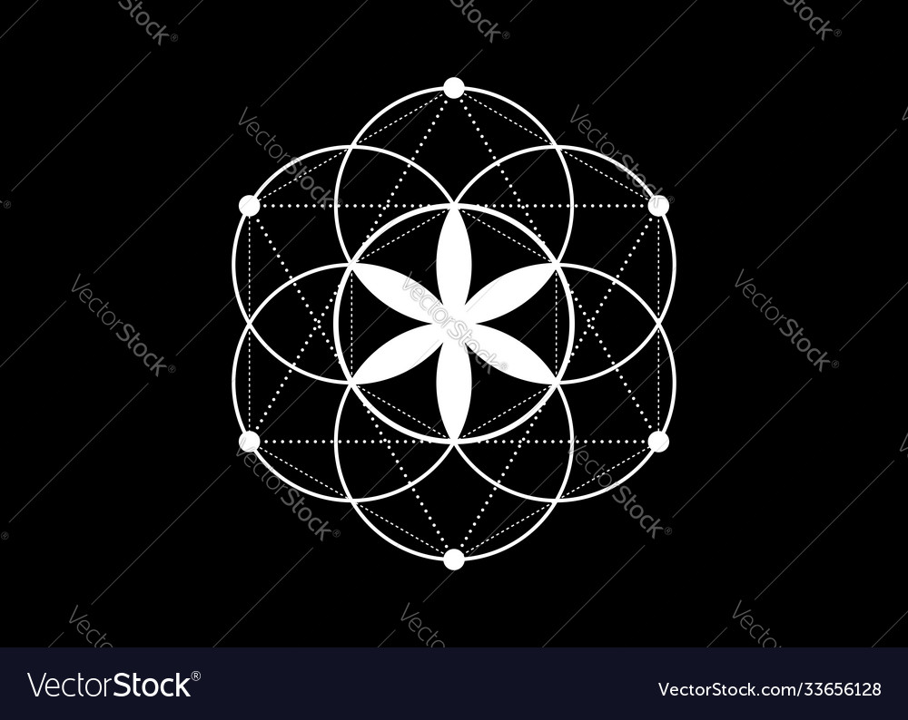Seed Life Symbol Sacred Geometry Logo Icon Vector Image