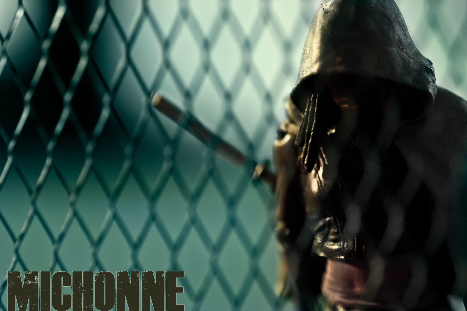 Michonne Action Figure Wallpaper Figures And Collectibles