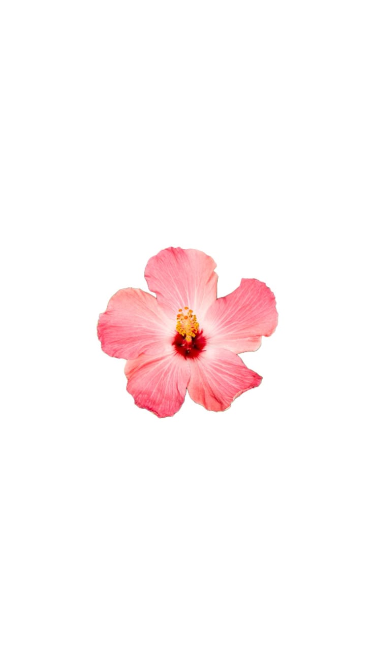 B693359b9726f7a8e15aae31e1ab8580 Wallpaper