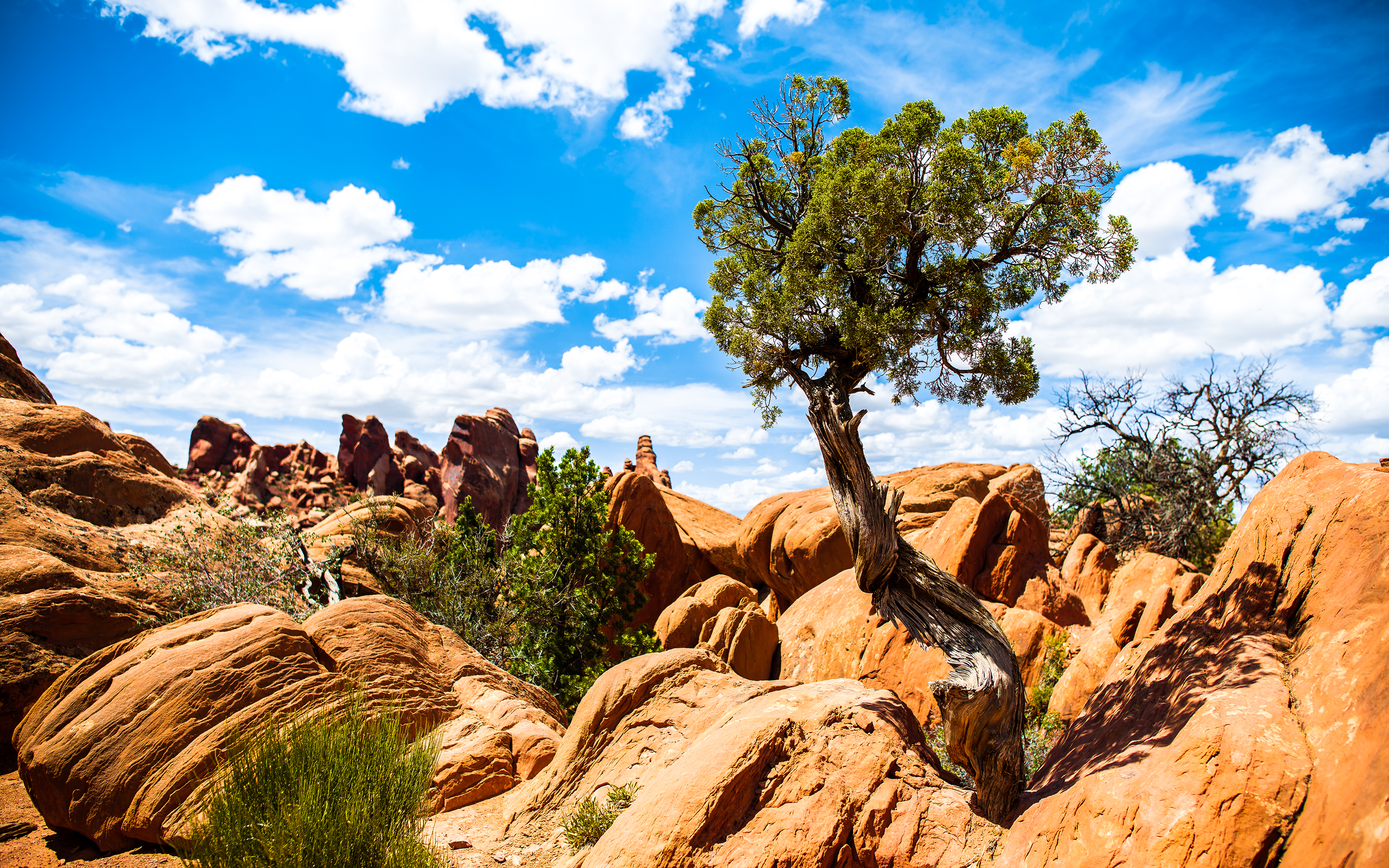 Arches National Park Wallpaper HD