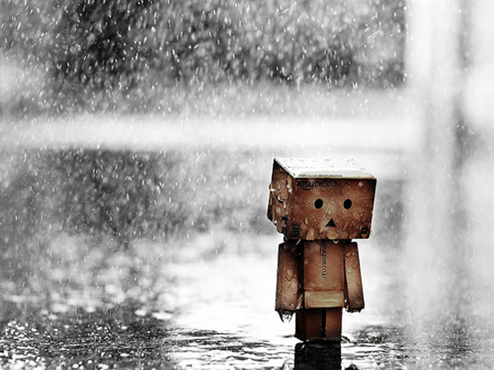 Cute Boxman HD Wallpaper In For Your
