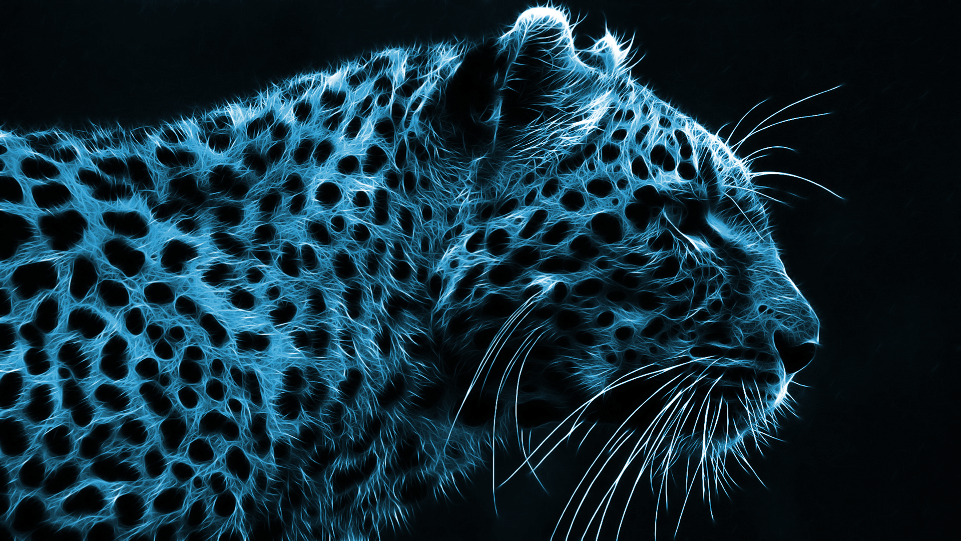 Pin Blue Cheetah Free Wallpapers 30978