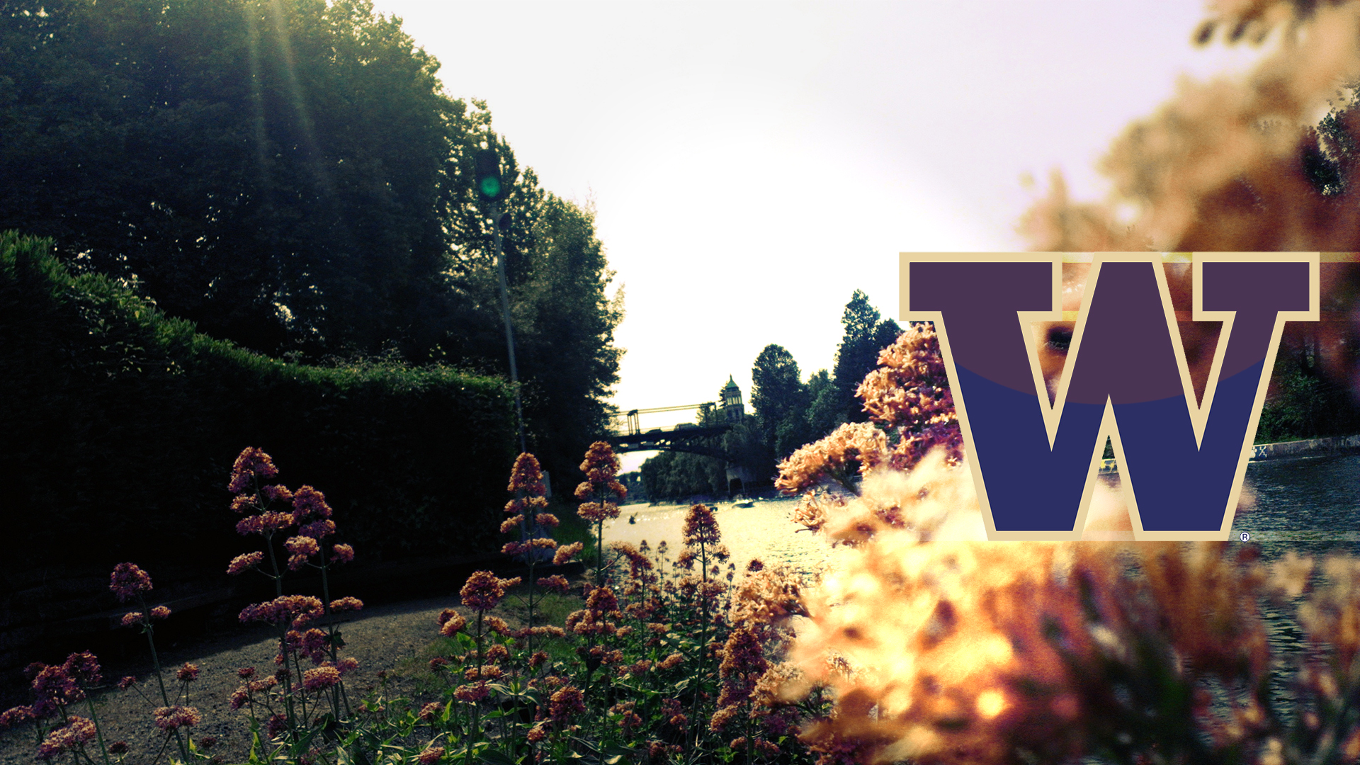 University Of Washington Wallpaper By Minotaurfayt