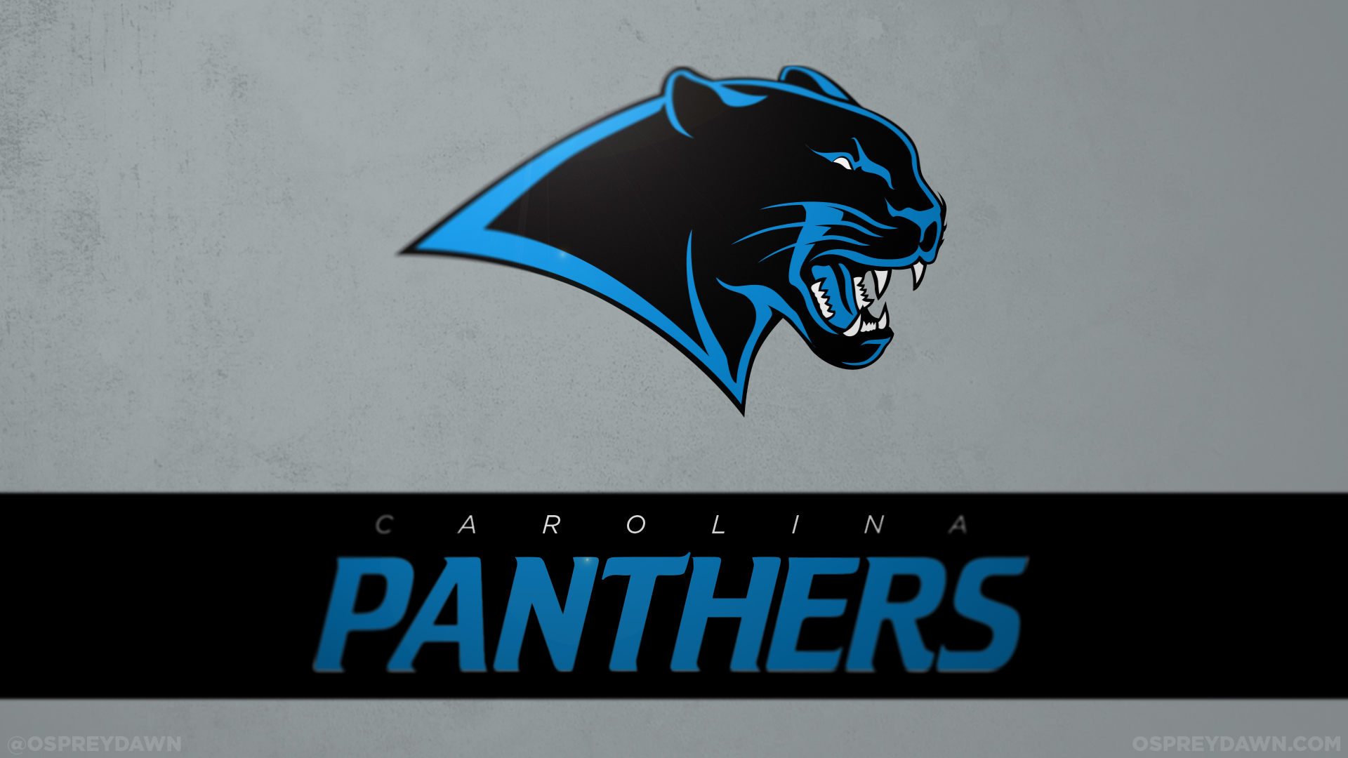 Carolina Panthers Nfl Football Rk Wallpaper