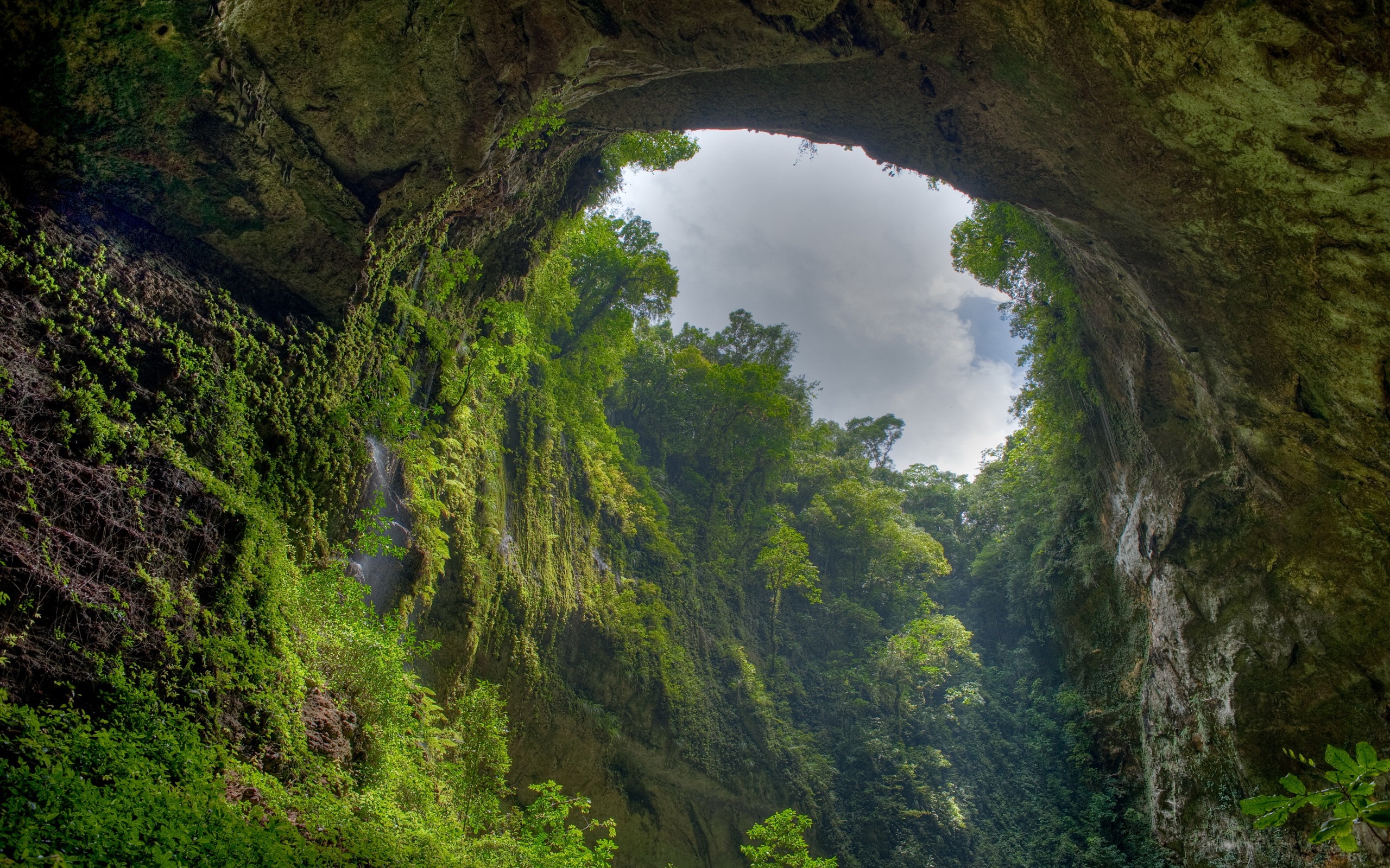 El Yunque Puerto Rico Cave Females In Transition Todayfemales