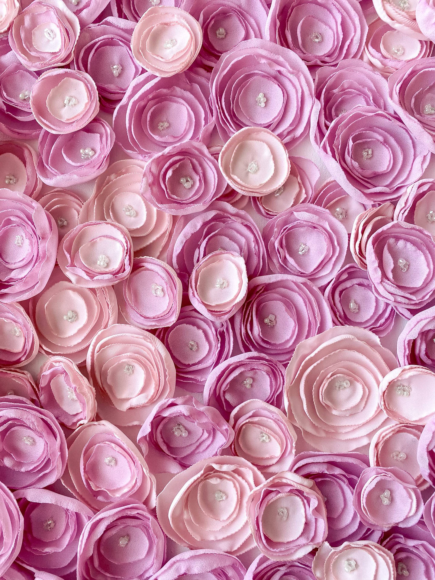 Rose iPhone Wallpaper