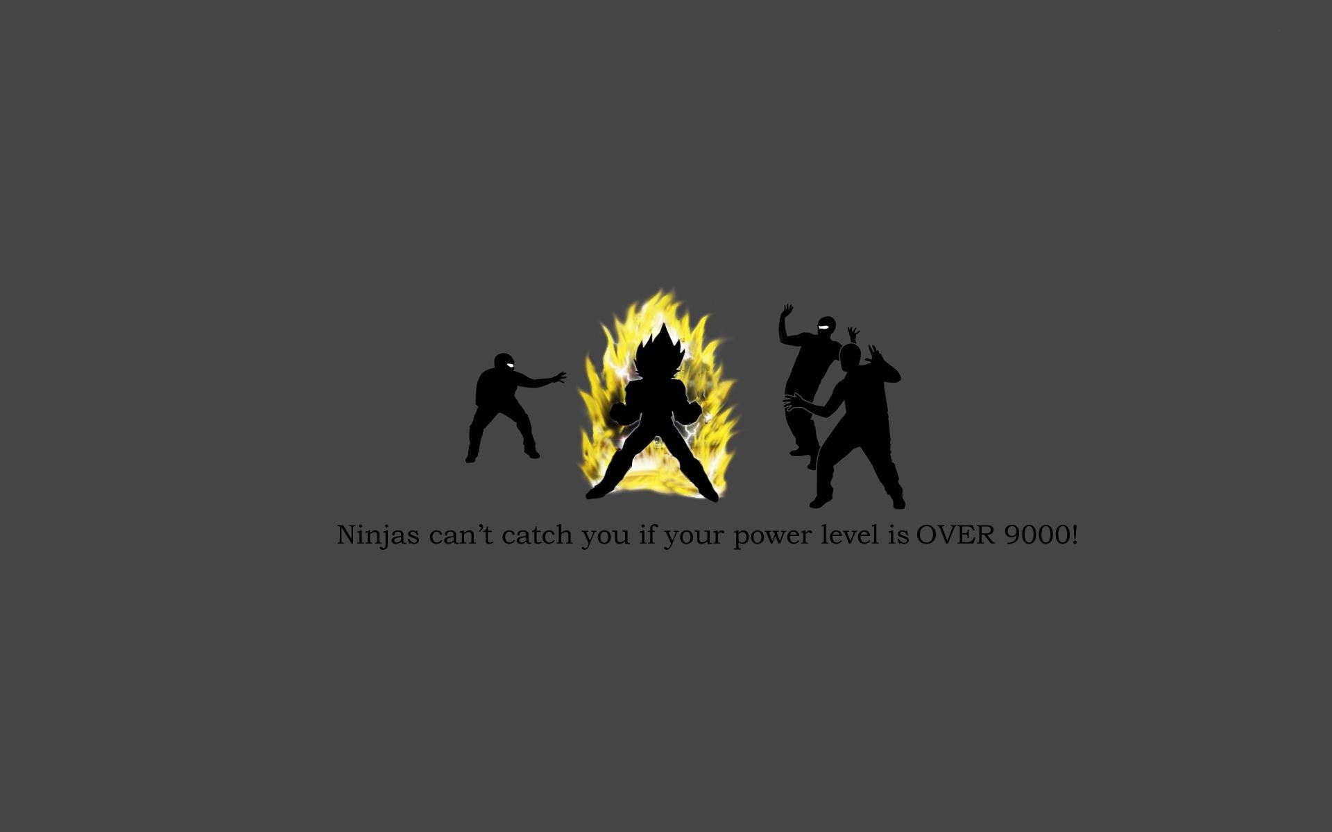 Funny Meme Wallpaper