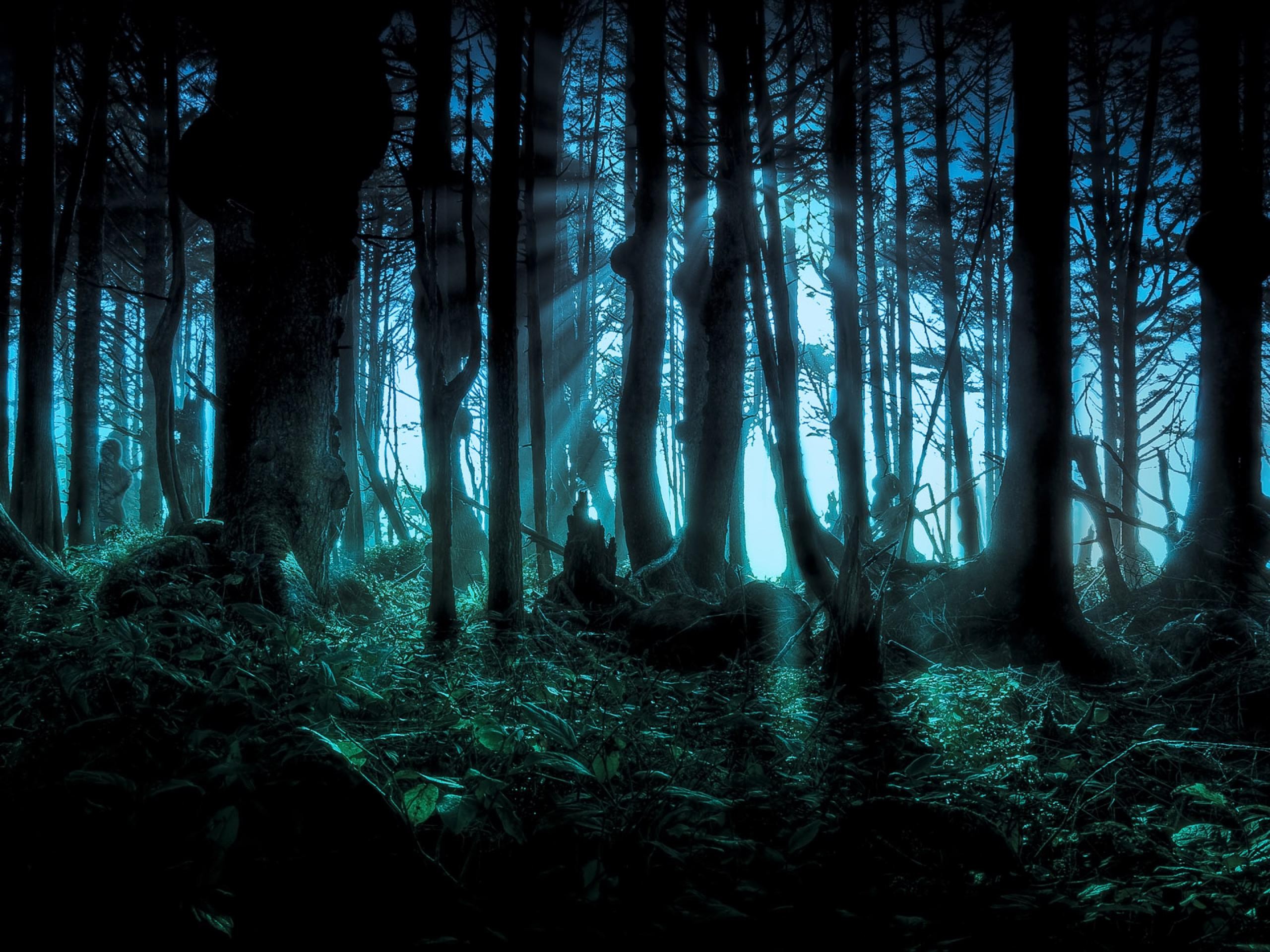 Forest Halloween Scary Pacific Wallpaper