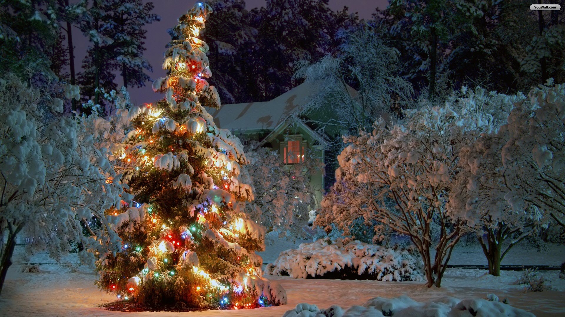 Free download Free Winter Christmas Wallpaper Images at Landscape ...
