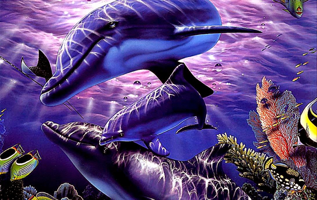 3d Dolphin Screensavers Wallpaper Best HD