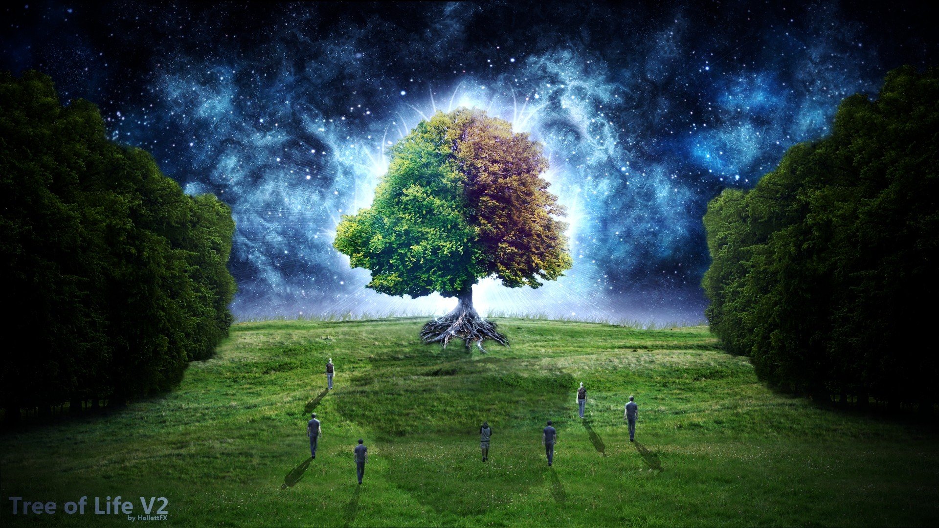 Digital Art Tree Of Life Starry Night Fantastic Wallpaper Background
