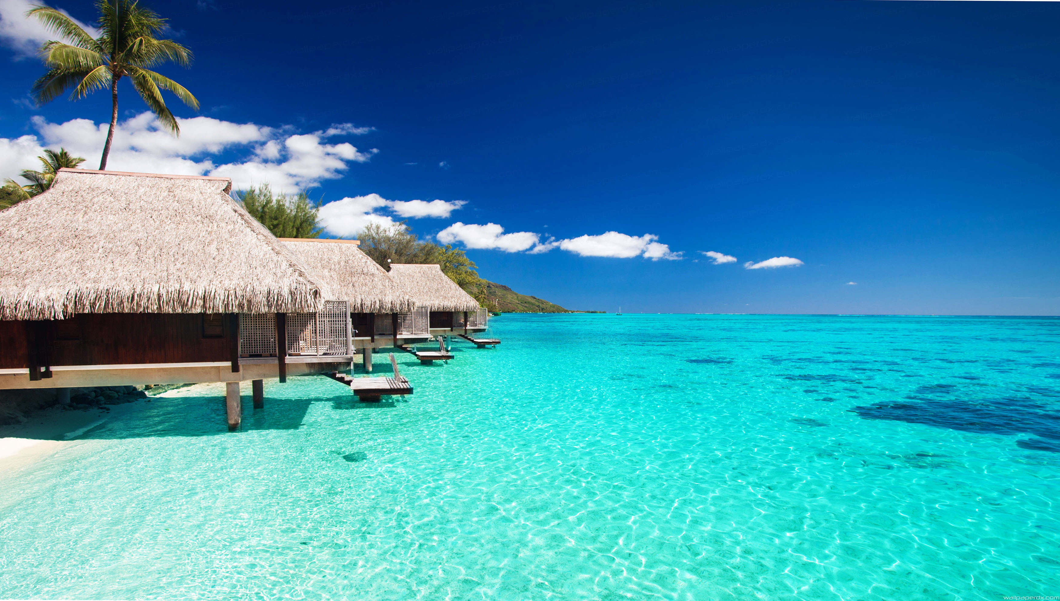 Maldives Wallpaper