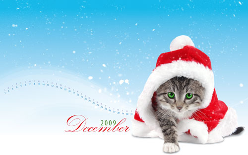 December Calendar Desktop Wallpaper No Christmas Kitty