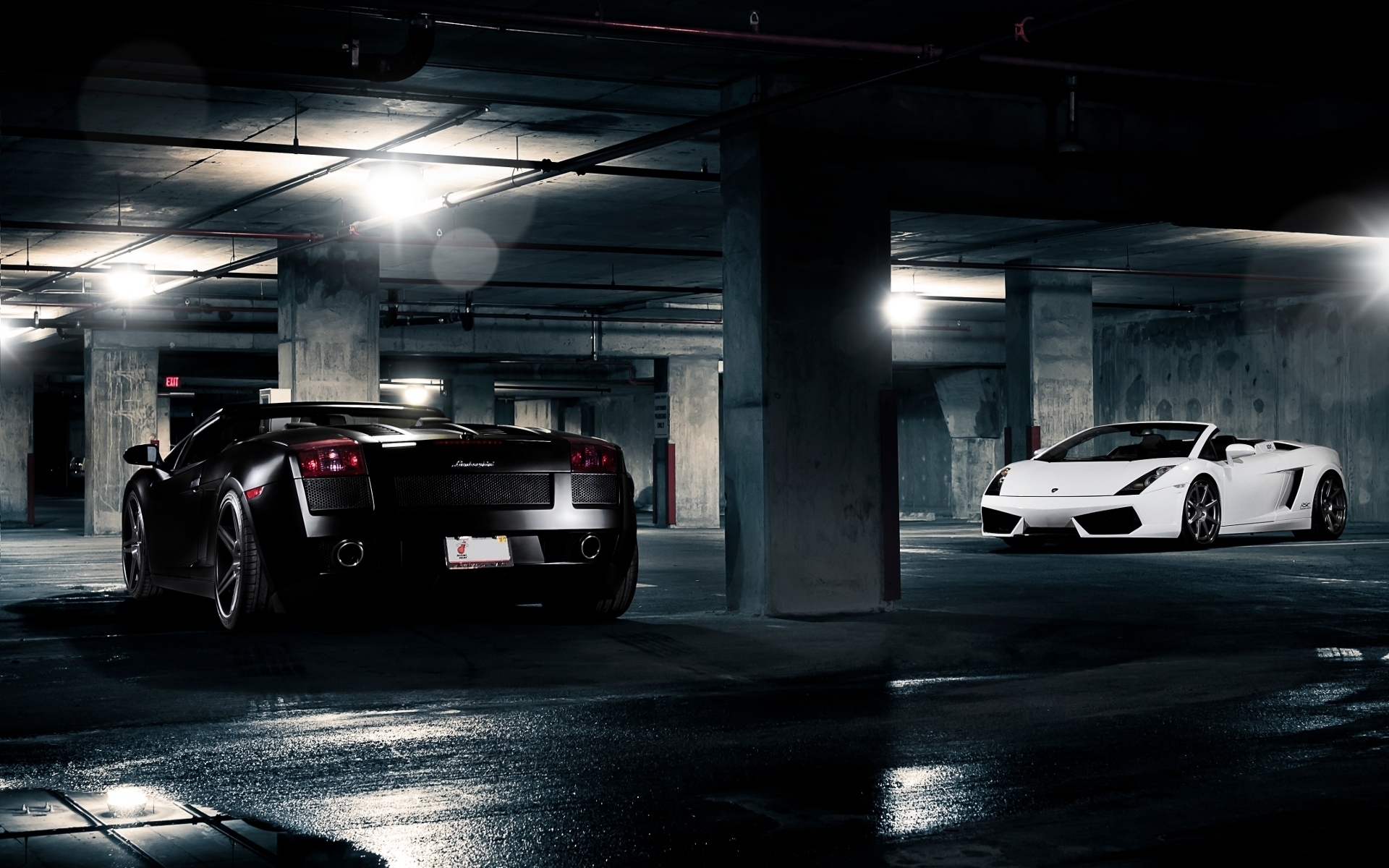 Lamborghini Gallardo White And Black Wallpaper Image