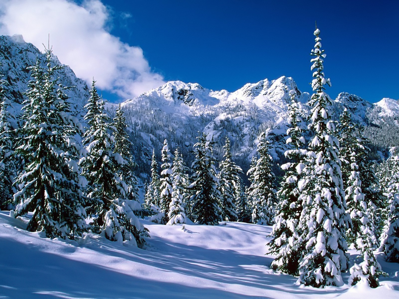 Alpine Lakes Wilderness Wallpaper Winter Nature In Jpg
