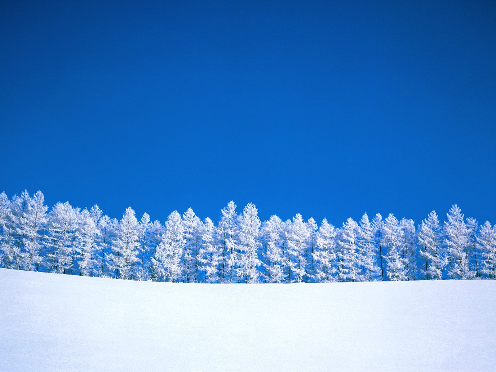 Winter Snowfull HD Nature Background Wallpaper For Laptop Widescreen