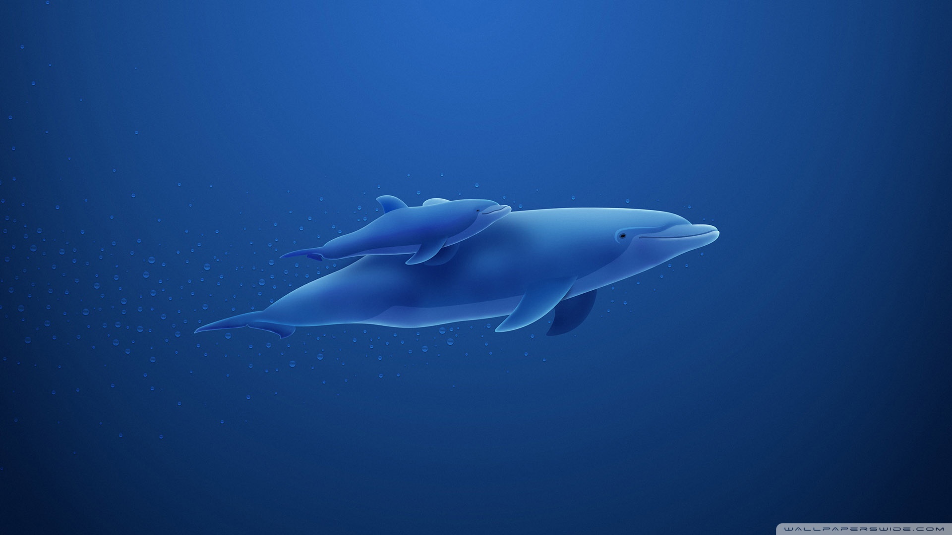 Blue Wallpaper Dolphins Image
