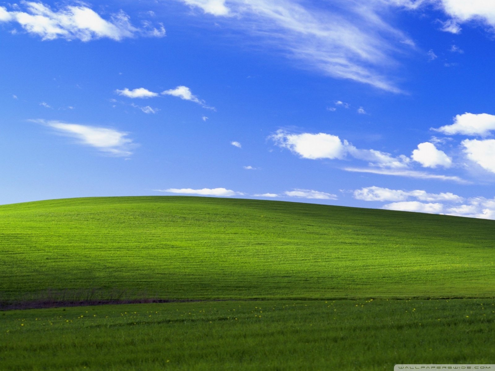 Free Windows XP Original phone wallpaper by mcpalmer19