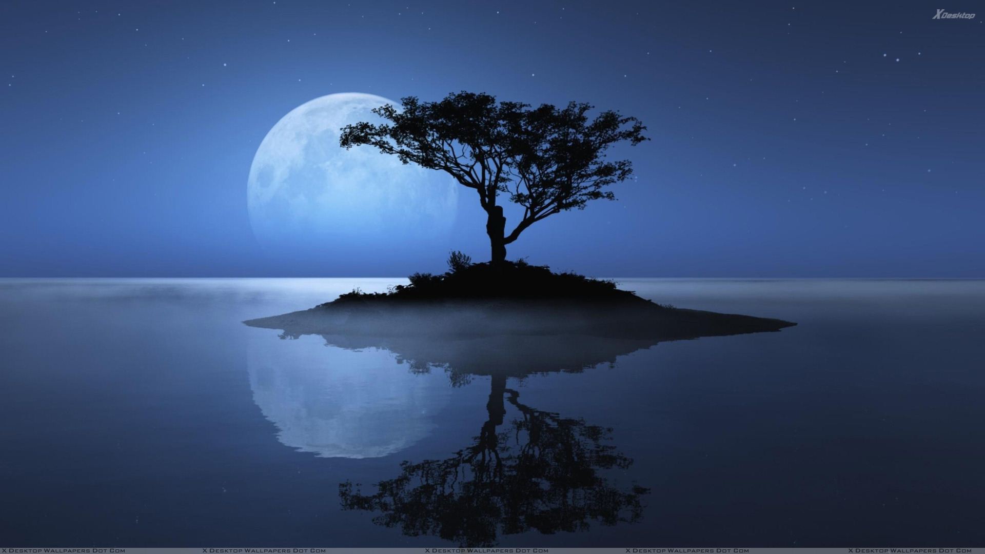 Blue Moon Over The Water Evening Scene Wallpaper
