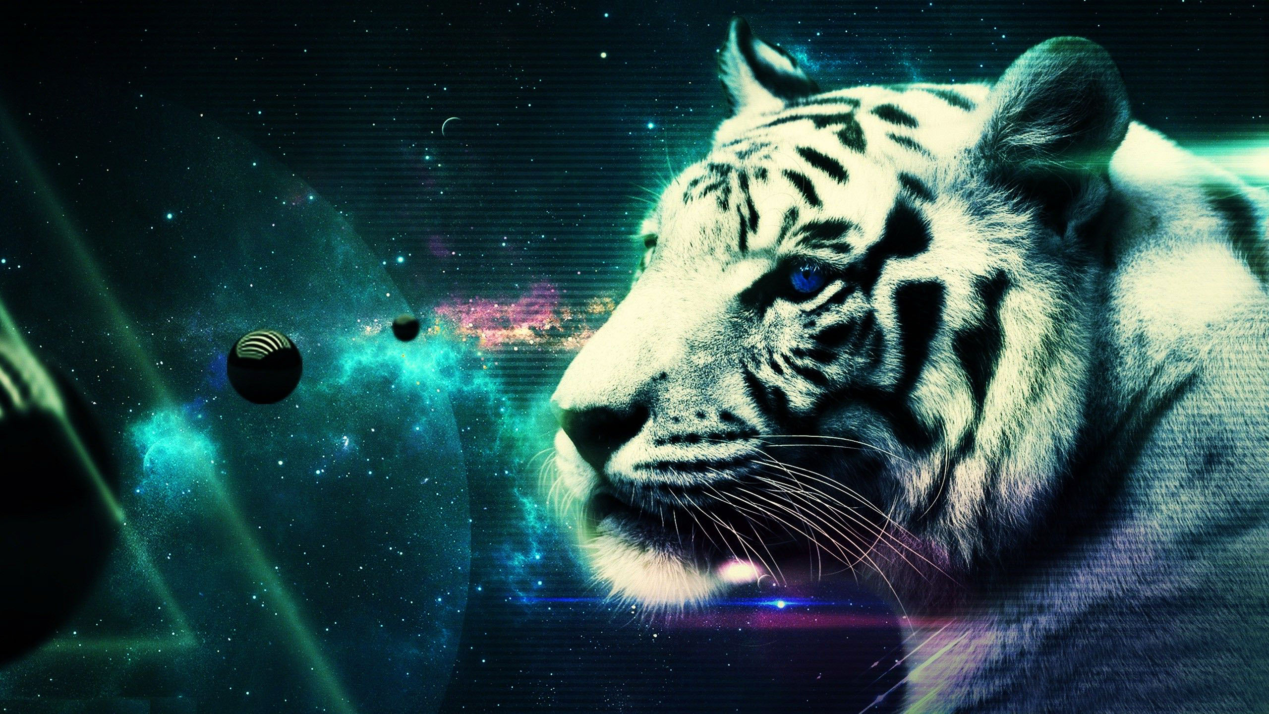 White Tiger Abstract HD Wallpaper