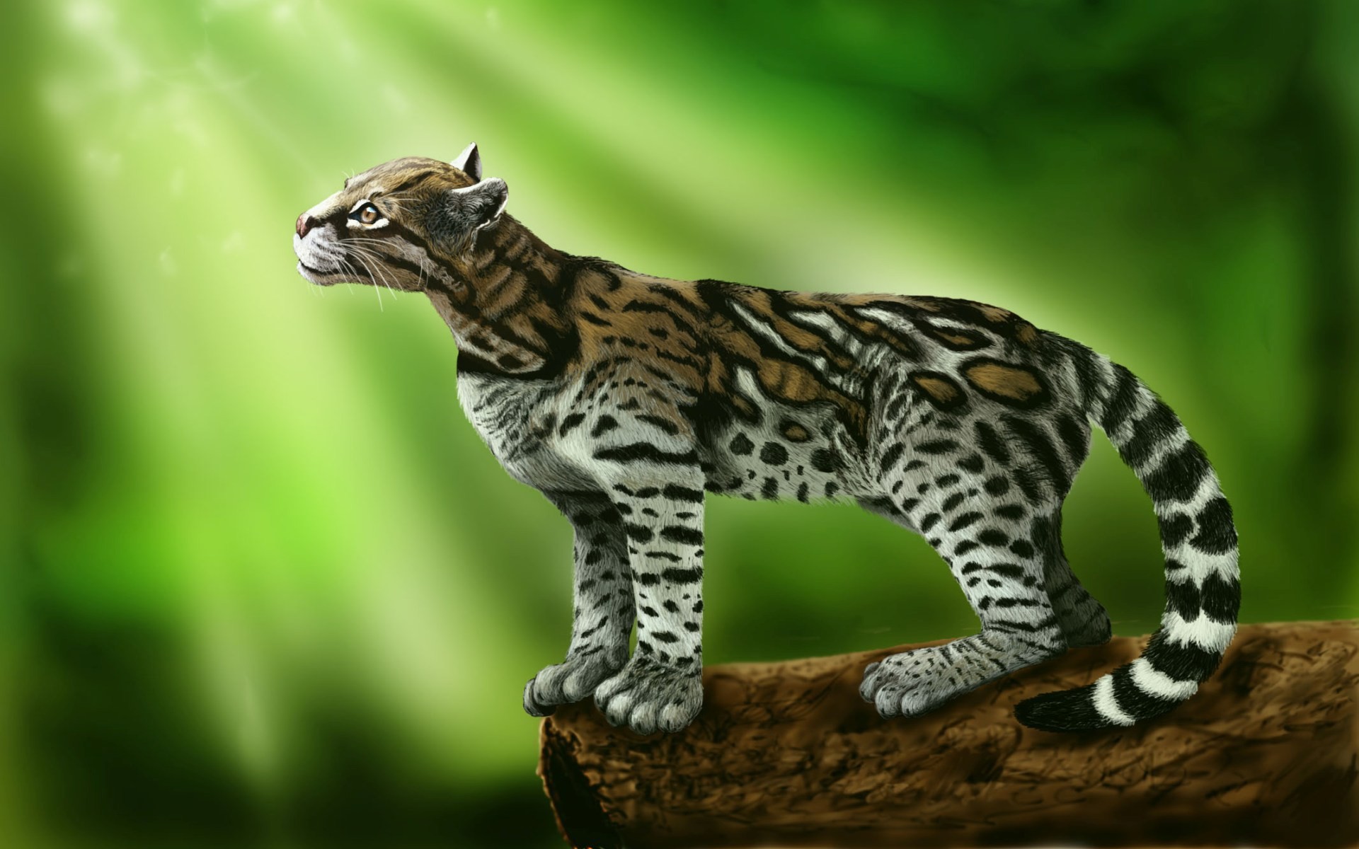 Ocelot Cat On A Green Background Wallpaper And Image