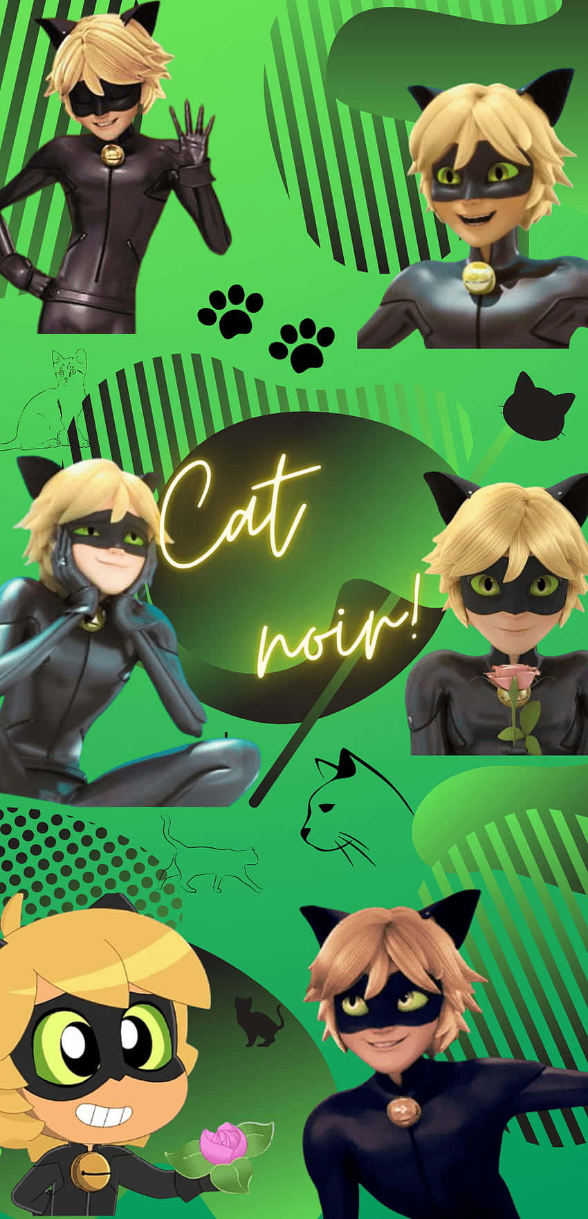 Cute Cat Noir Wallpaper
