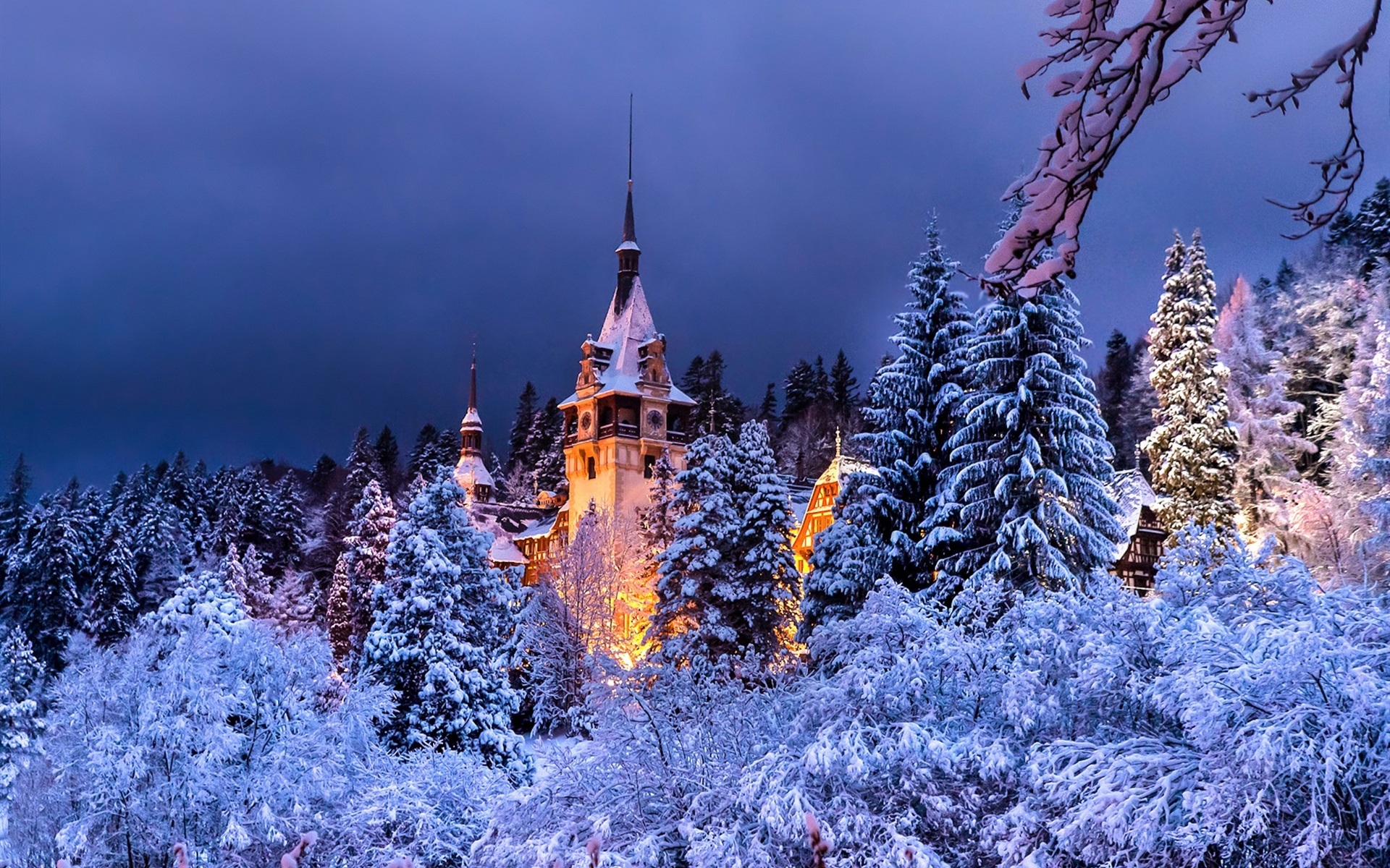 Wallpaper Romania Sinaia Peles Castle Winter Trees Snow Night