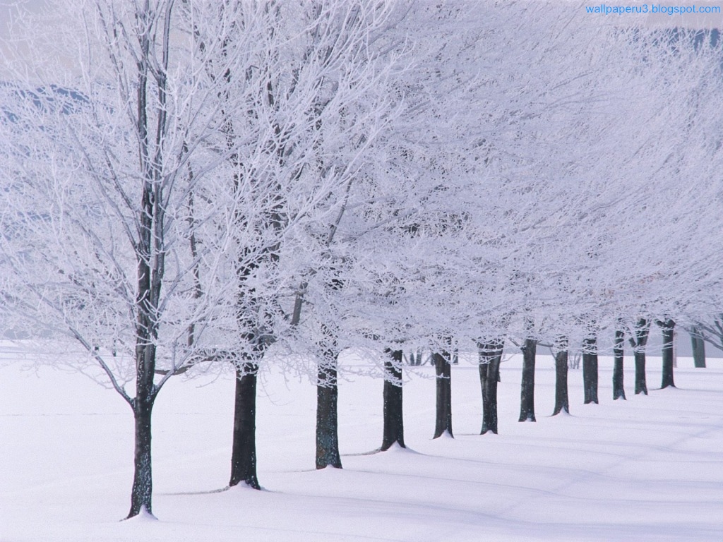 Winter Season Wallpaper