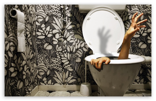Zombie Toilet HD Wallpaper For Standard Fullscreen Uxga Xga