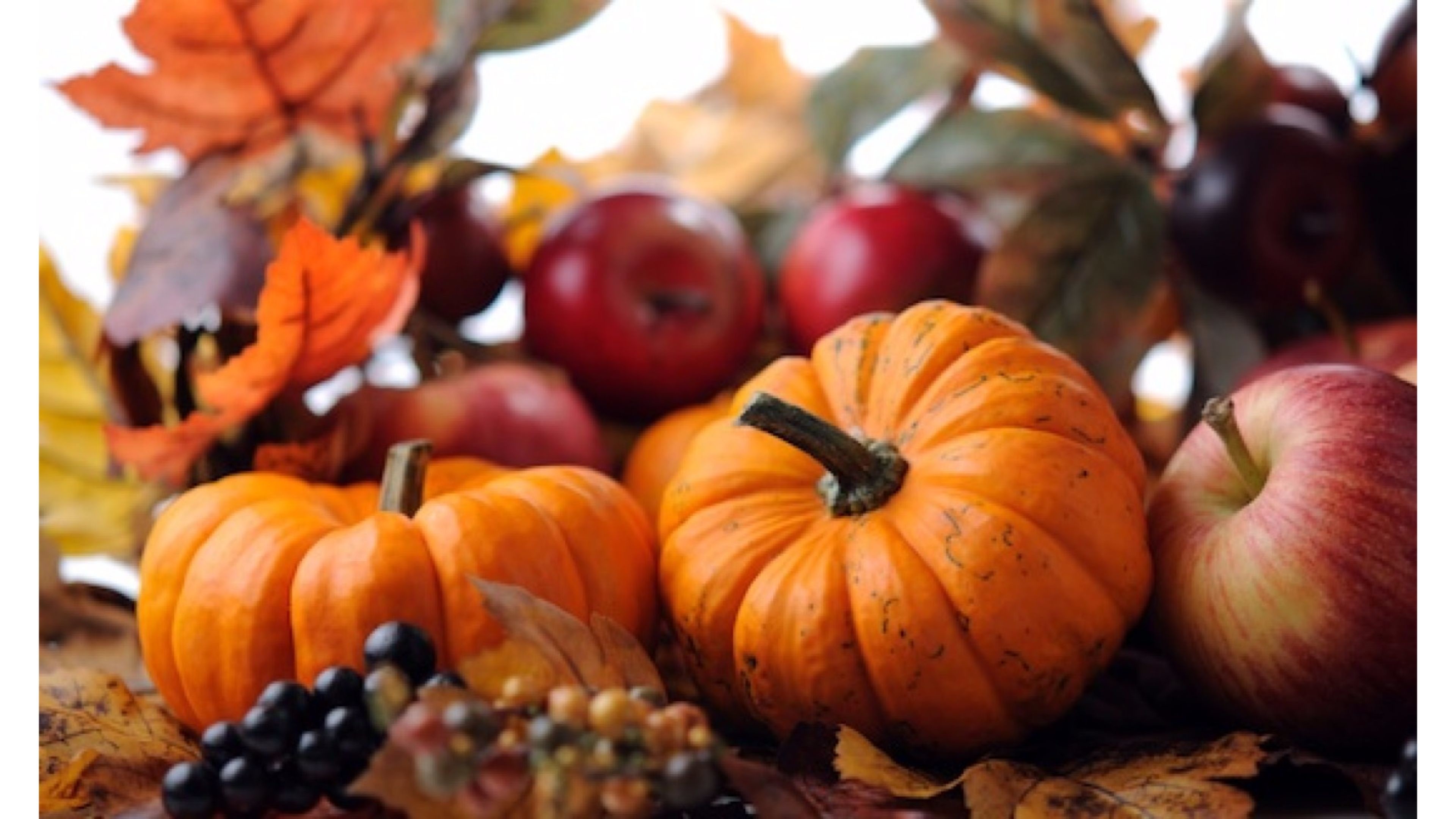 Vibrant autumn still life with pumpkins, apples, and fall leaves