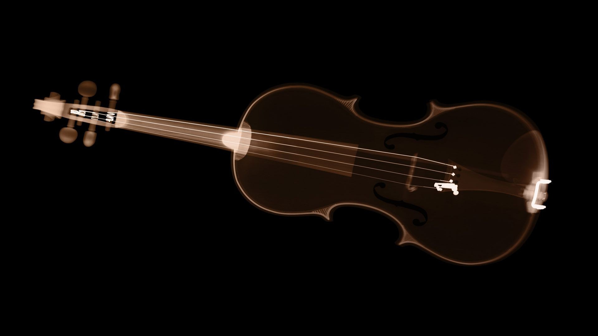 Ray Violin X