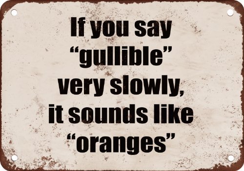 Very Slowly It Sounds Like Oranges Funny Metal Sign Home Decor