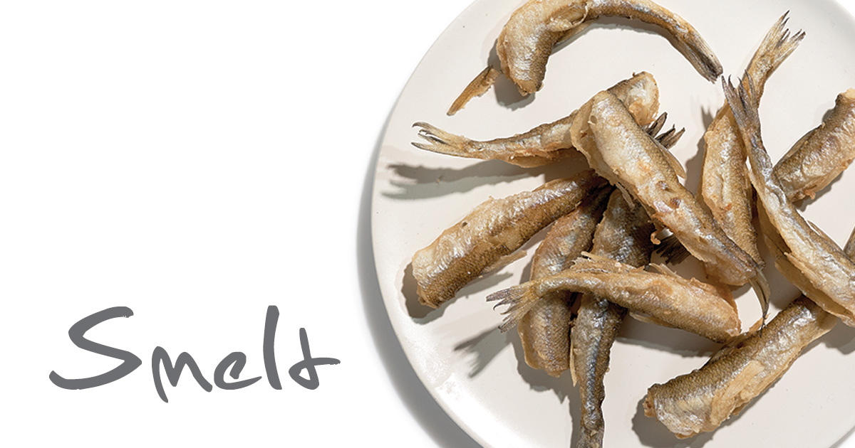 Smelt Fb Wallpaper