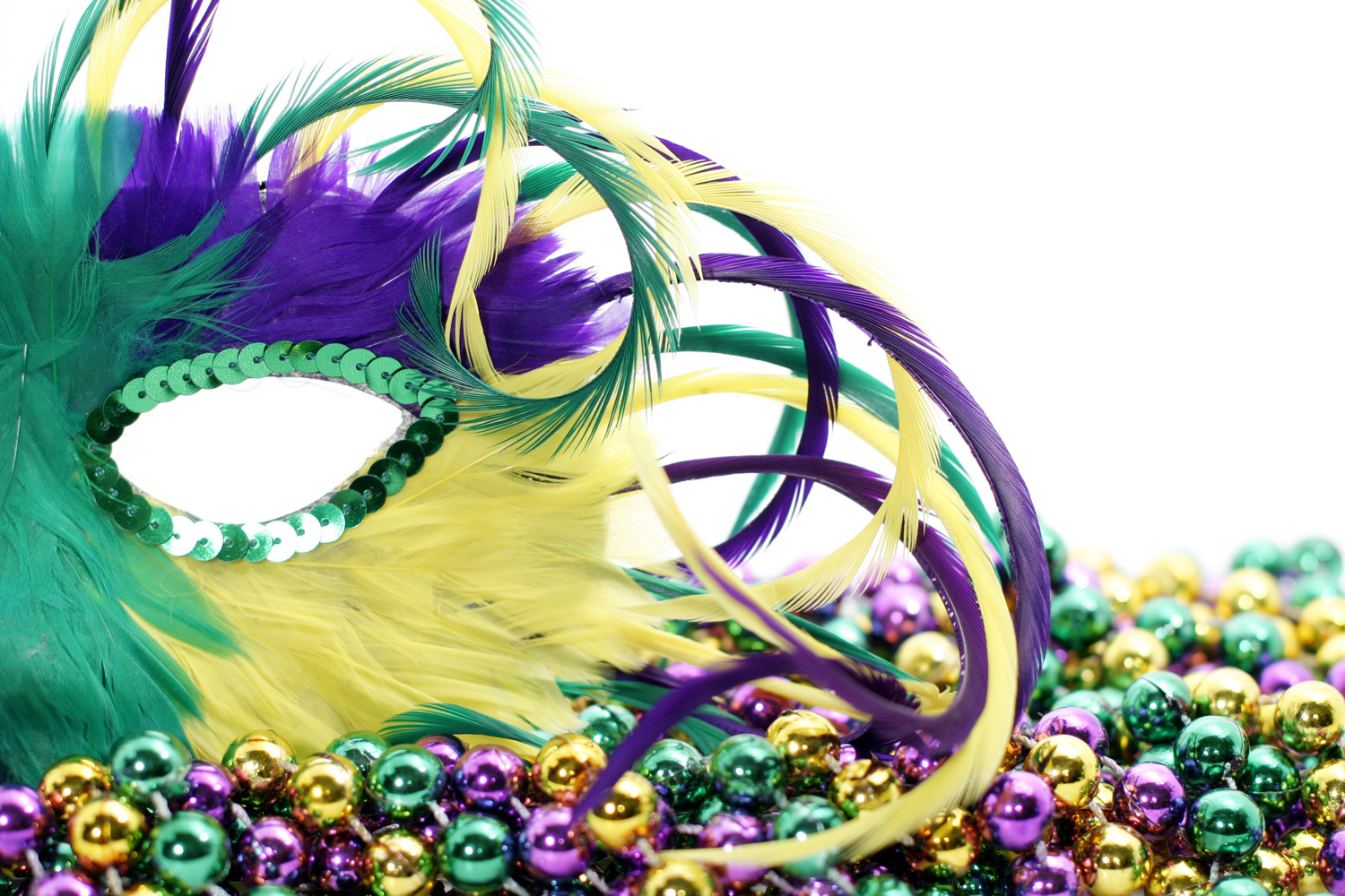 What Are The Colors Of Mardi Gras American Profile