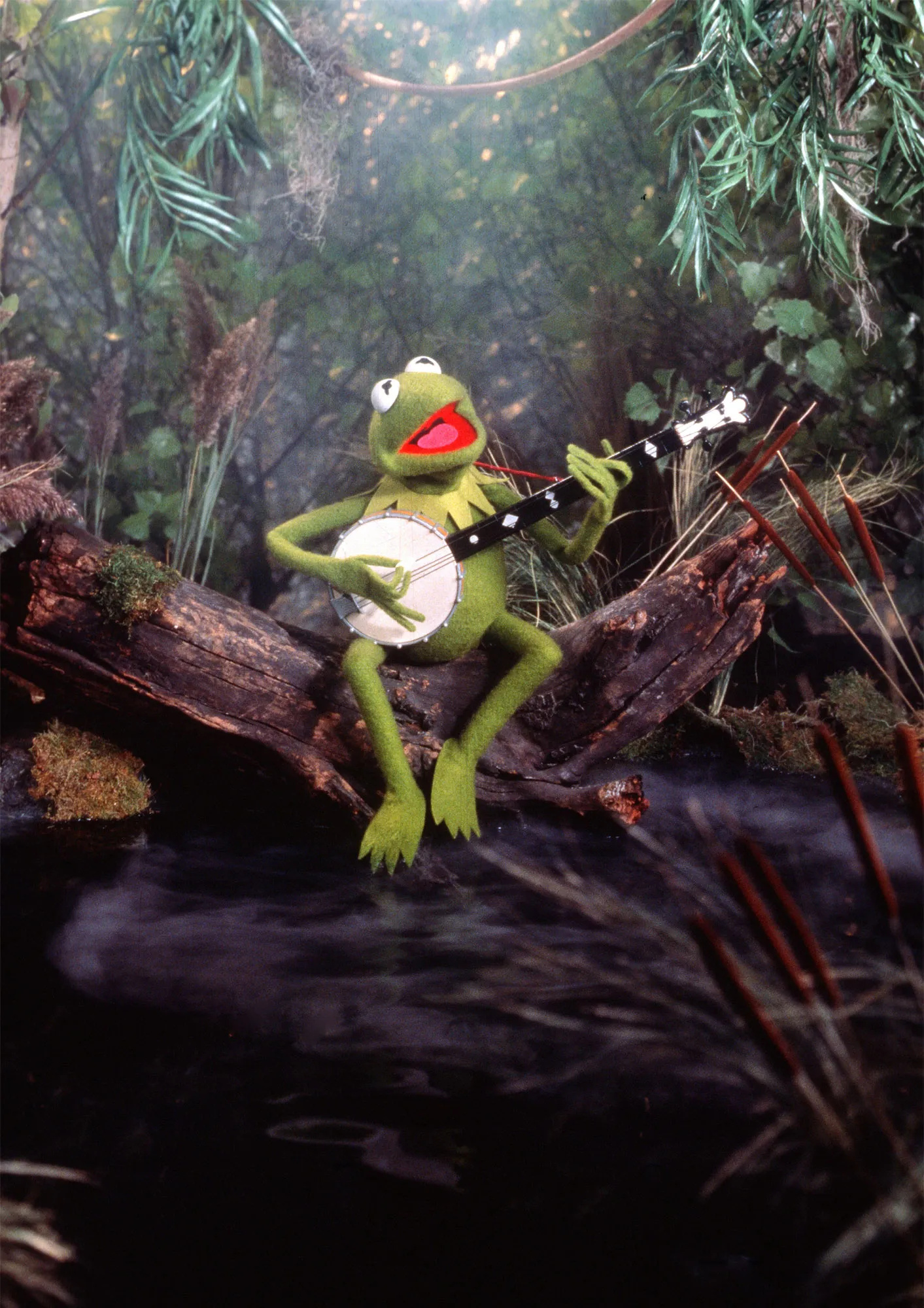 Kermit The Frog Wallpaper