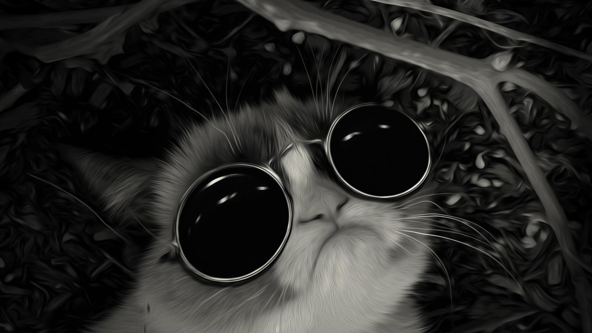 Sunglasses John Lennon Post Awsome Grumpy Cat Wallpaper