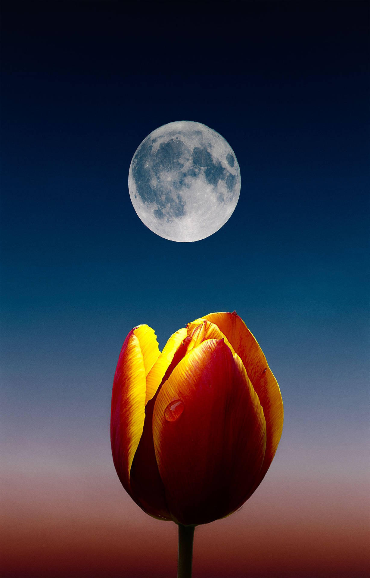Moon Phone Wallpaper