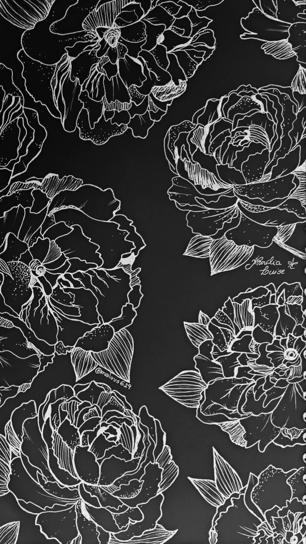 Black Rose Art iPhone Wallpaper Artofit