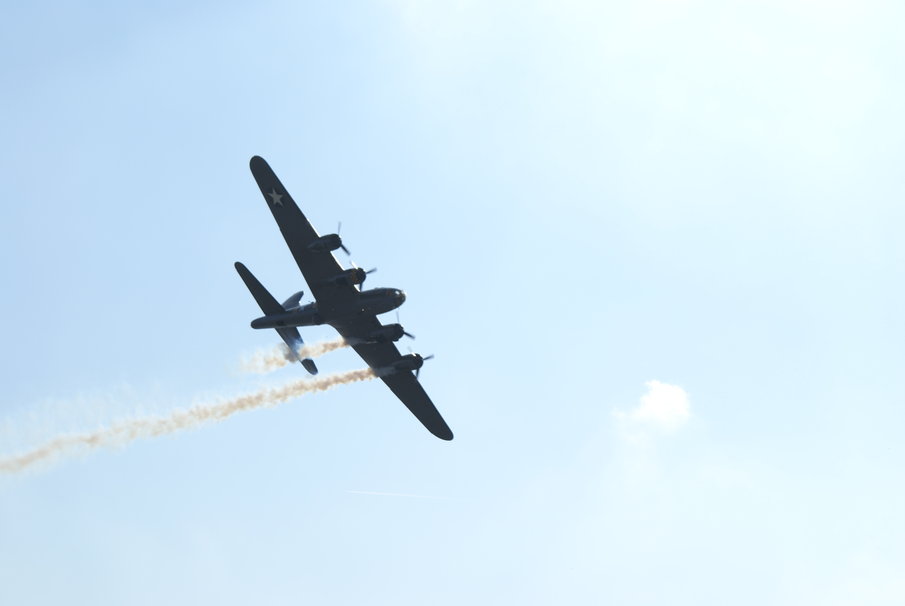 b17 Sally B Vektorgrafik