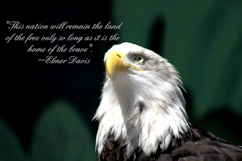 Bald Eagle With Quote Final For Photography Class