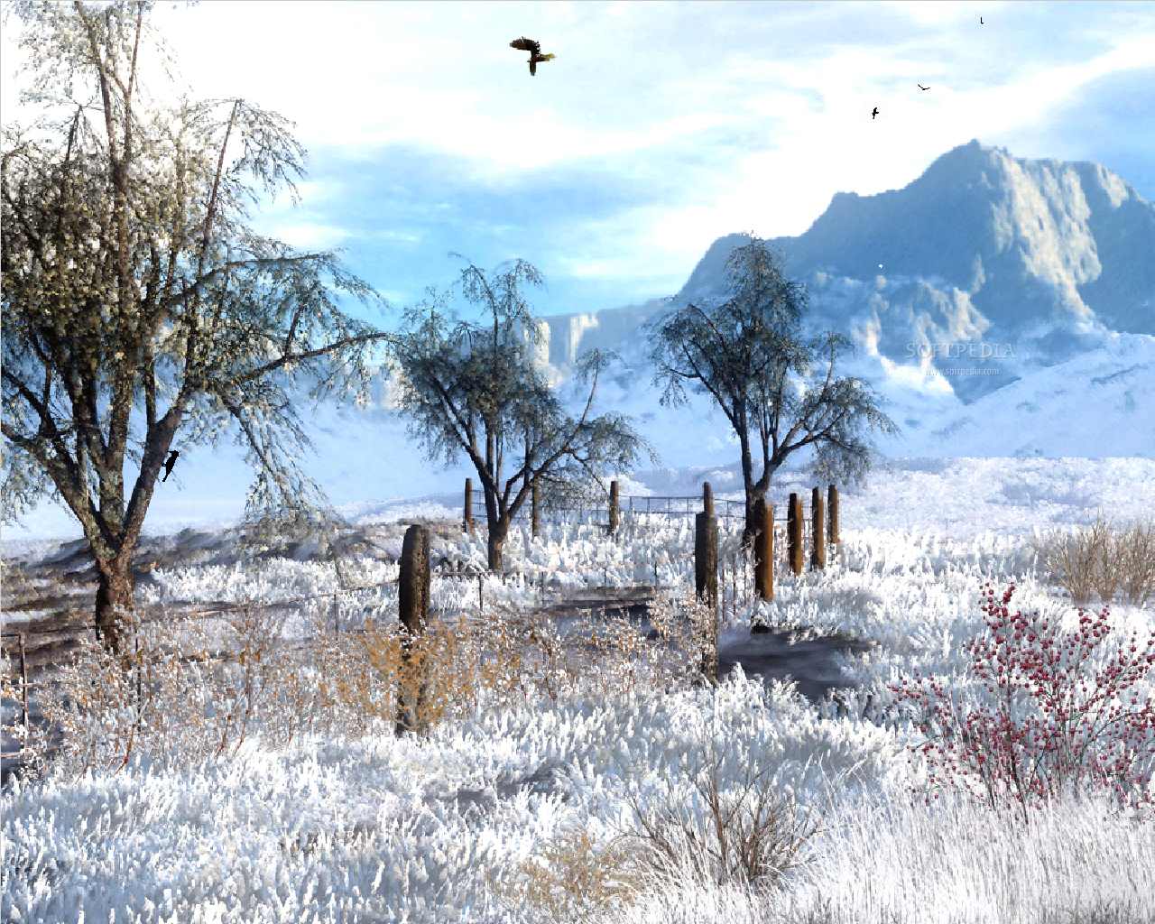 Animated Winter Screensavers