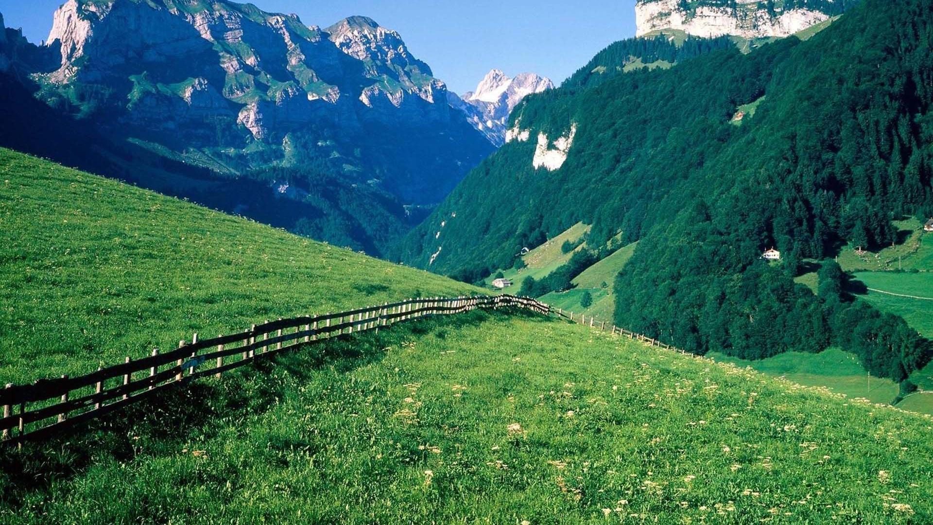Swiss Alps Wallpaper