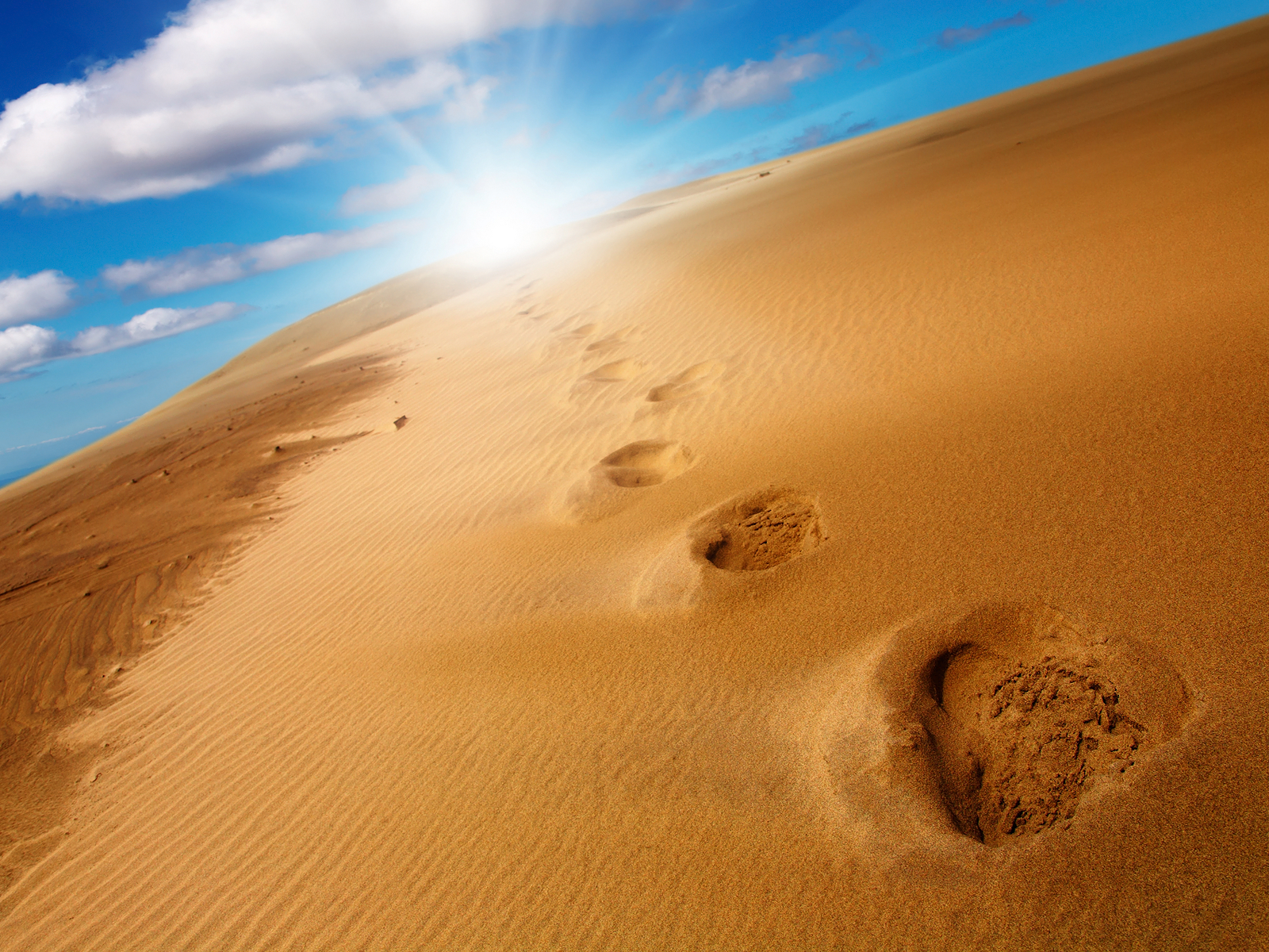 Footprints in Desert Sand wallpaper On second anniversary of the