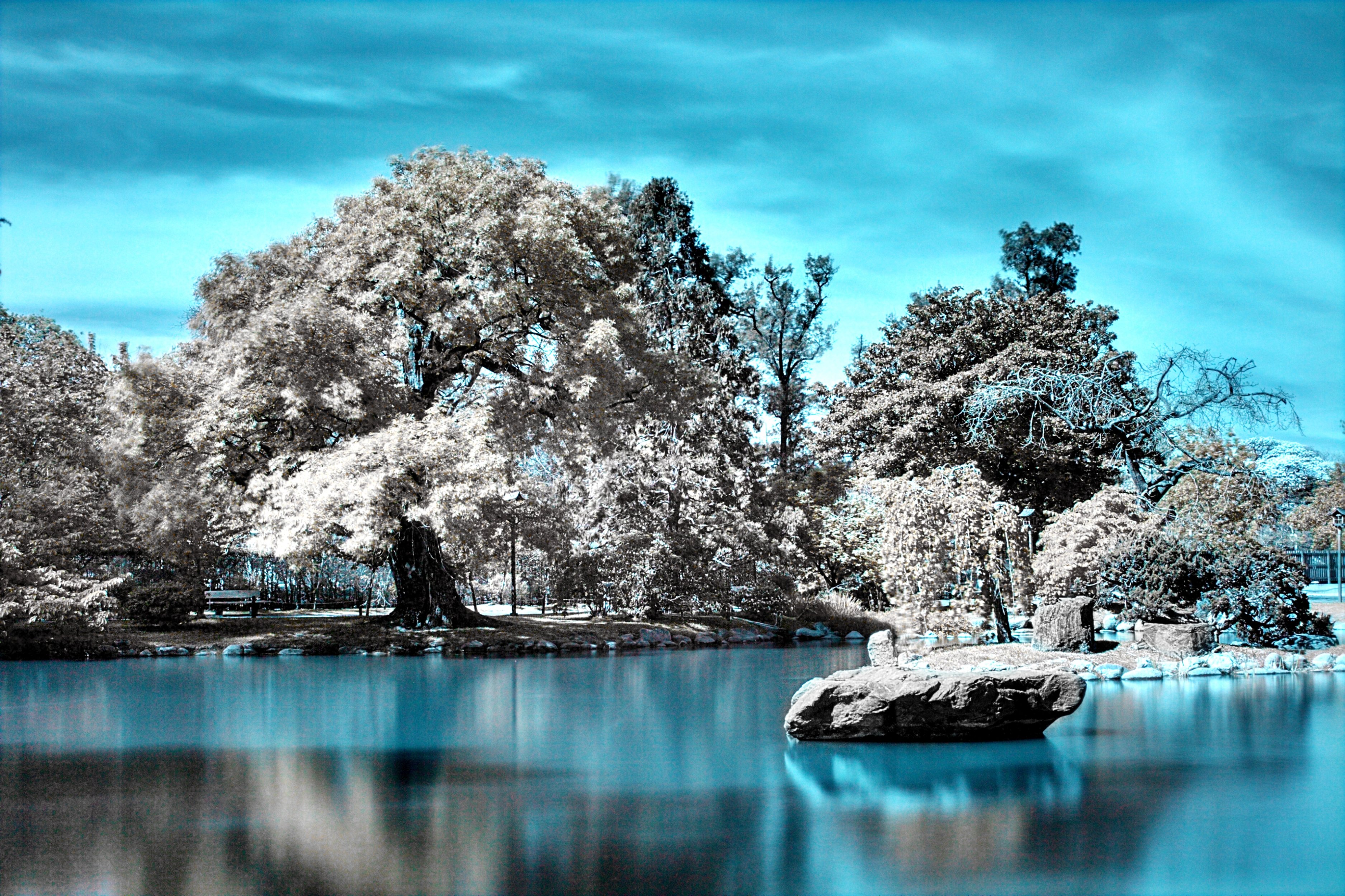 Infrared Photography Lake And Trees HD Wallpaper Background