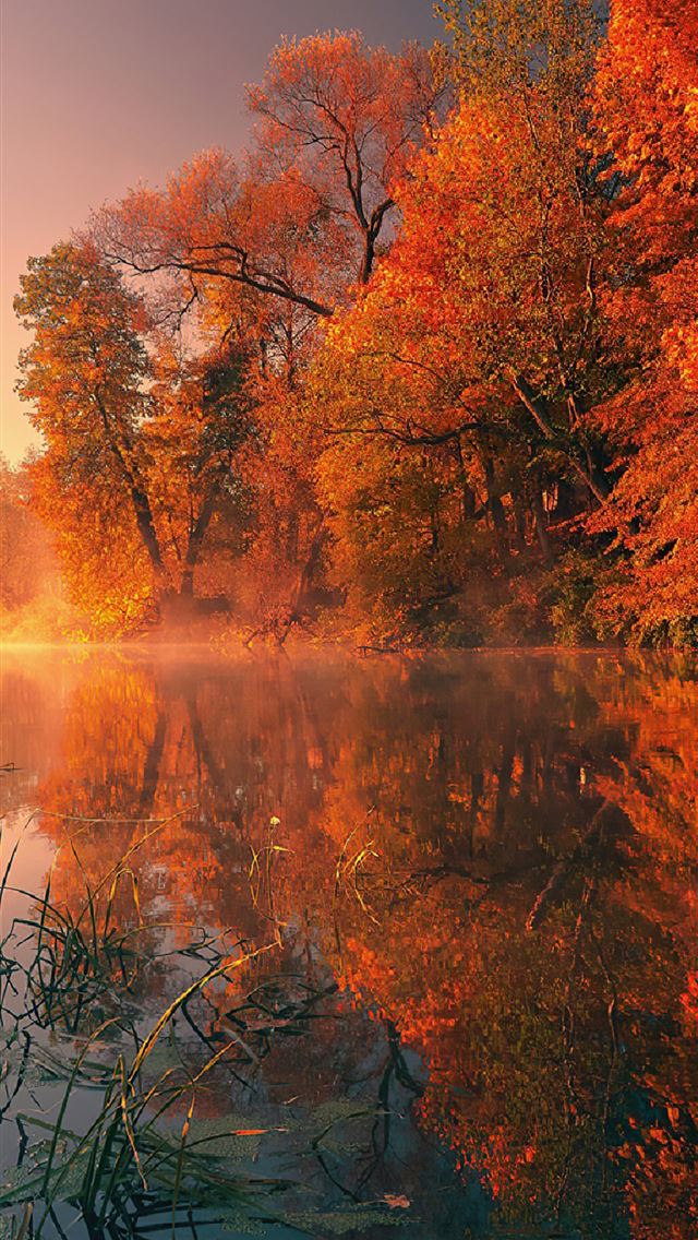 Best Autumn iPhone HD Wallpaper